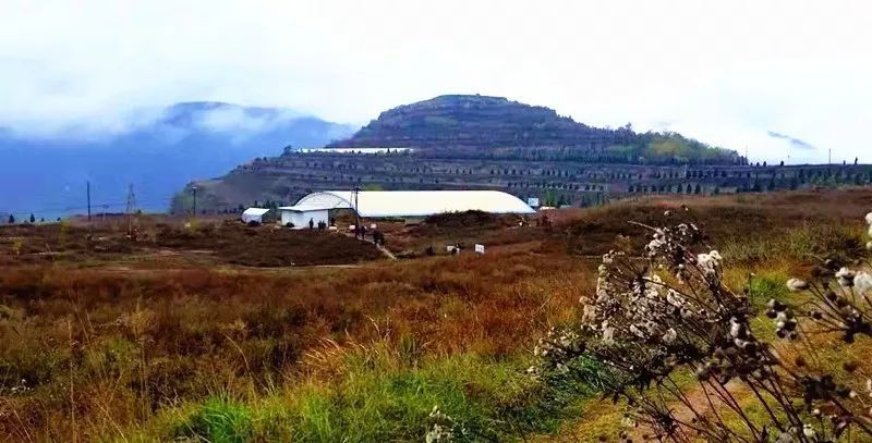 發掘出土四座規模宏大的秦公墓見證秦帝國的崛起之路大堡子山遺蹟西垂