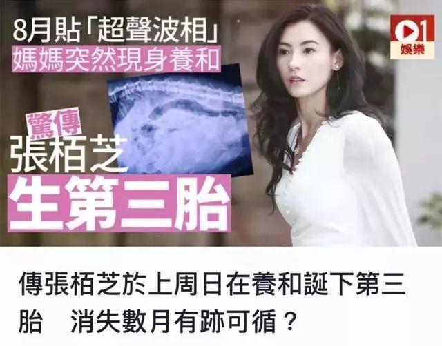 张柏芝被曝生三胎?孩子父亲大揭秘!谢霆锋淡然