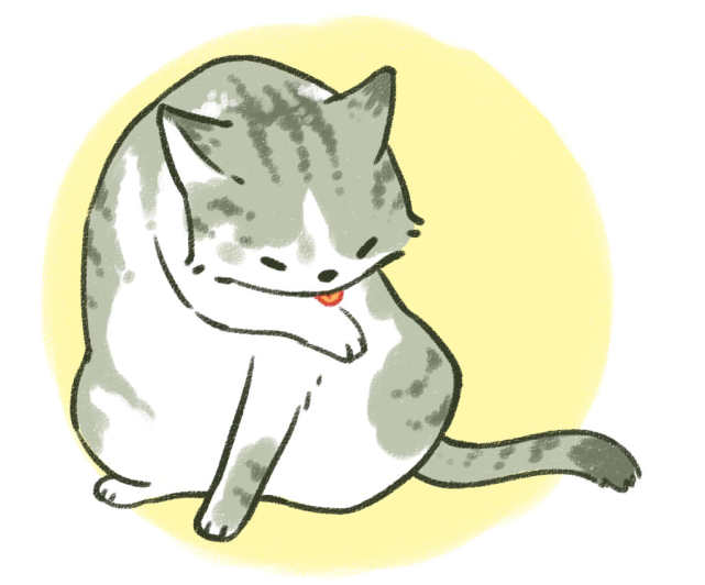 猫咪闲来无事就"舔毛",真的只是爱干净?其实你误解它了