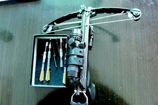 去年,张某某等6人使用含有琥珀胆碱的麻醉飞镖注射器和弓弩毒杀土狗