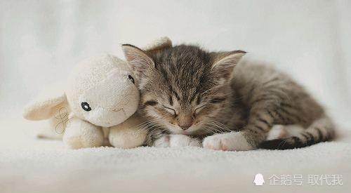 腾讯内容开放平台