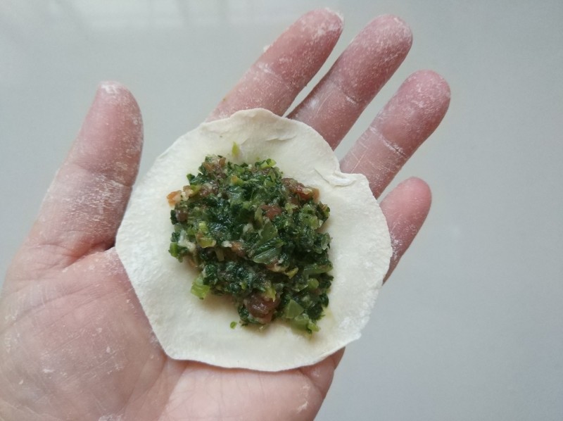 这菜挺便宜,包饺子比大白菜还好吃,错过太可惜