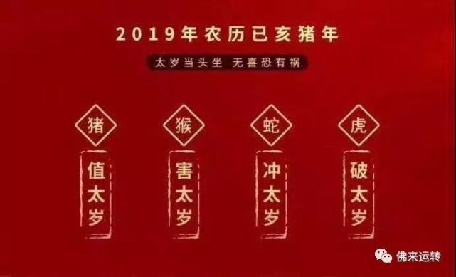 2019年犯太岁 水逆生肖 蛇 运势解读 一重江水一重山谁知此去路又难任他改求终不过是非终久未得安