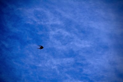 世界3大海洋无底洞，这2个最为知名，科学家都无法解释其中原因