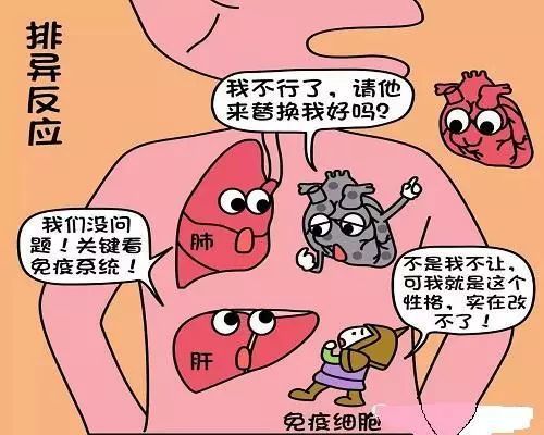 肾移植是尿毒症人"重生"的捷径!但想活的更久,仍需做好4件事