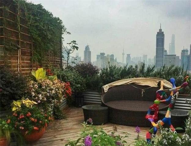 有一种奢华叫金星家!就连不在意物质生活的鲁豫都感叹