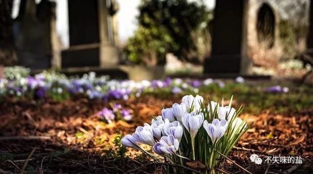 每周一歌《宁静的伯利恒》