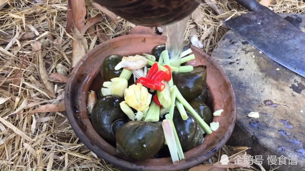 泰国小伙深山烤大田螺,户外条件虽然简陋,做出来的味道不输大厨