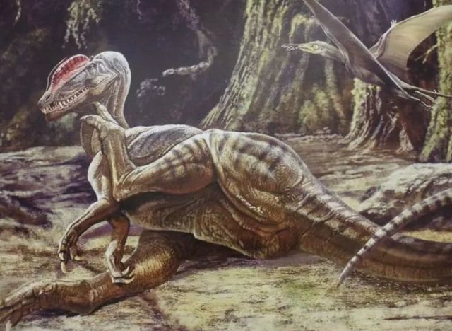 社会百态:史前排名前20，十大凶猛大型肉食恐龙，涨知识了!