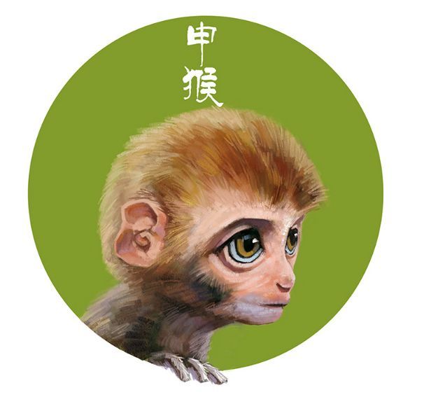 2019年家里有属猪、属蛇、属猴、属虎要注意