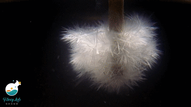 快看超美的结晶瞬间!这就是厨房里能做的“热冰”实验