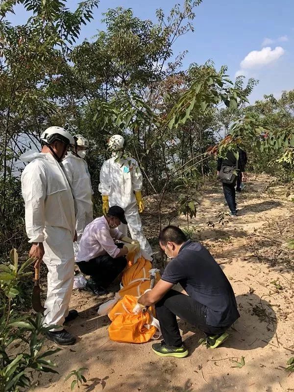 现场 死者边上有土铲在一堆 还有一股难闻的味道 搜寻人员穿上防化服
