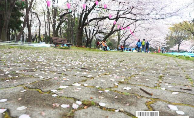 名古屋城樱花 这里的景色好美 旅行必去的赏樱名所