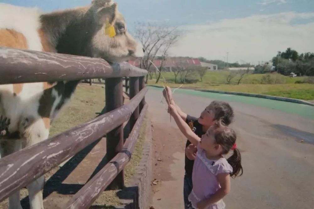 拍摄参数:镜头焦段28-75mm,焦距28mm(换算值28mm),曝光模式:手动,光圈