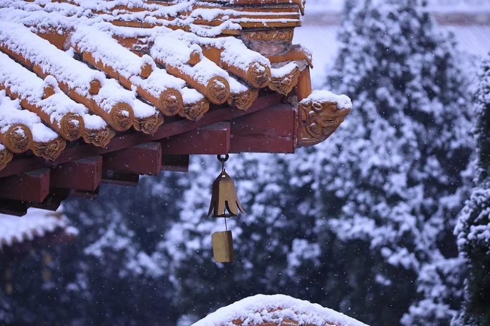 进入了懈怠状态,应该怎么对治?