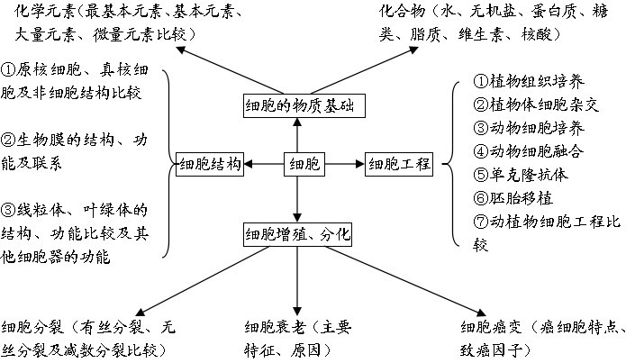 高中生物最全知识结构思维导图值得收藏