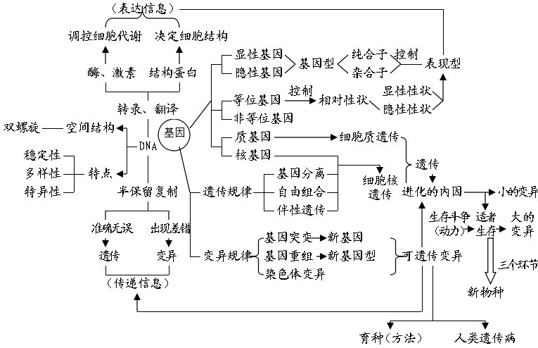 高中生物最全知識結構思維導圖值得收藏