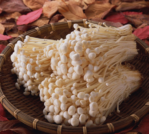 入冬后,身体虚寒?金针菇跟它是绝配,富含蛋白