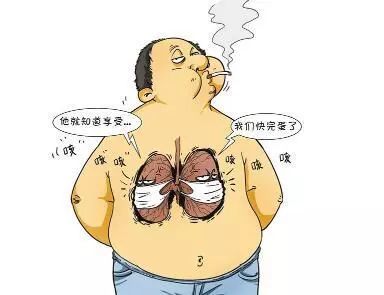 听说蜂蜜能够润喉止咳…是不是真的?