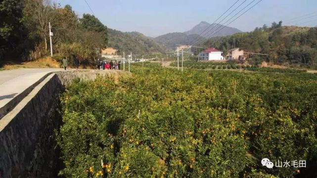 厉害了，湘乡毛田这个产业获得国家级荣誉，湘潭唯一！(图5)