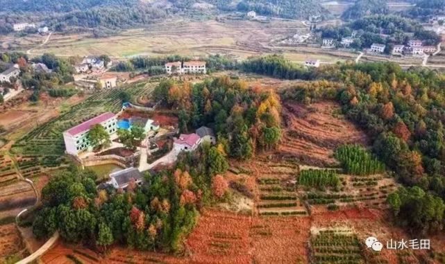 厉害了，湘乡毛田这个产业获得国家级荣誉，湘潭唯一！(图9)
