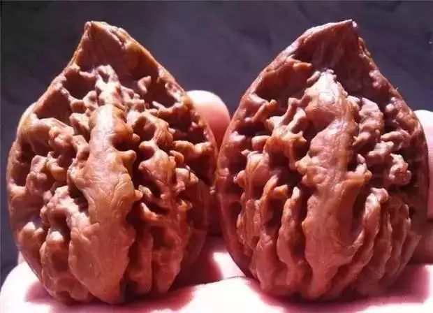 这些异形核桃简直是神级作品!