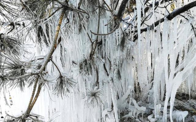 12月7日"大雪"北京的长阳体育公园的壮观冰挂奇景