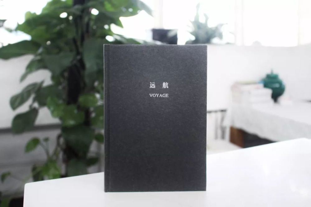 是他们,让真理之光穿透混沌,照进昏暗的角落