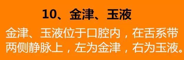位置:金津,玉液位于口腔内,在舌系带两侧静脉上,左为金津,右为玉液.