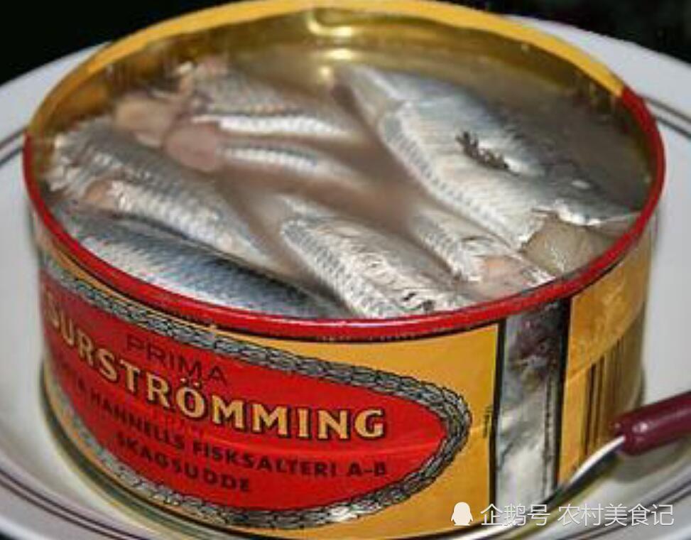 鲱鱼罐头的味道这么臭,为何还要大量生产,难道