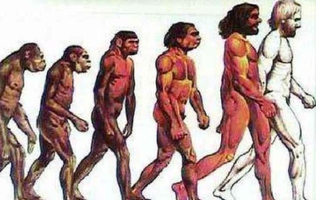 如果人类是类人猿进化来的 猴子为啥还是猴子 专家给出答案 类人猿 猴子 进化 基因