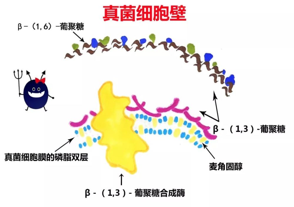隐球菌病的封神榜又实用又好玩