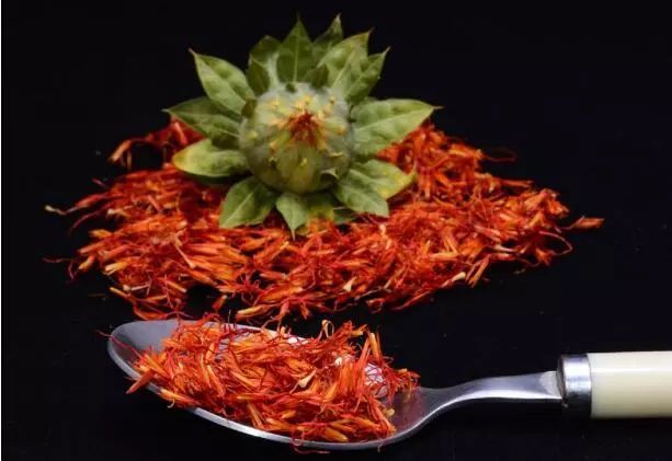 红花和藏红花是一种植物吗?千万别搞混了