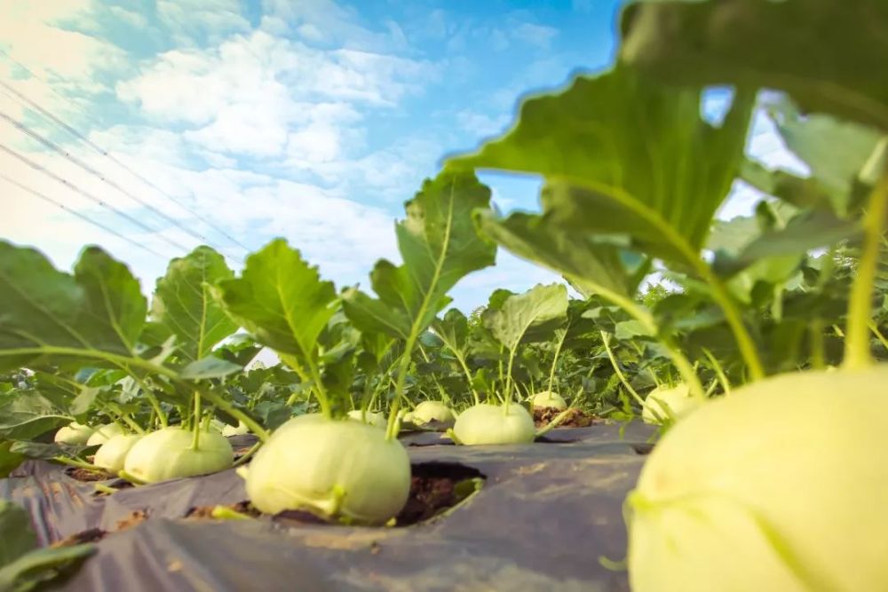 广东|投票啦！广东省十佳科普教育基地评选活动启动，你心水的是哪个？
