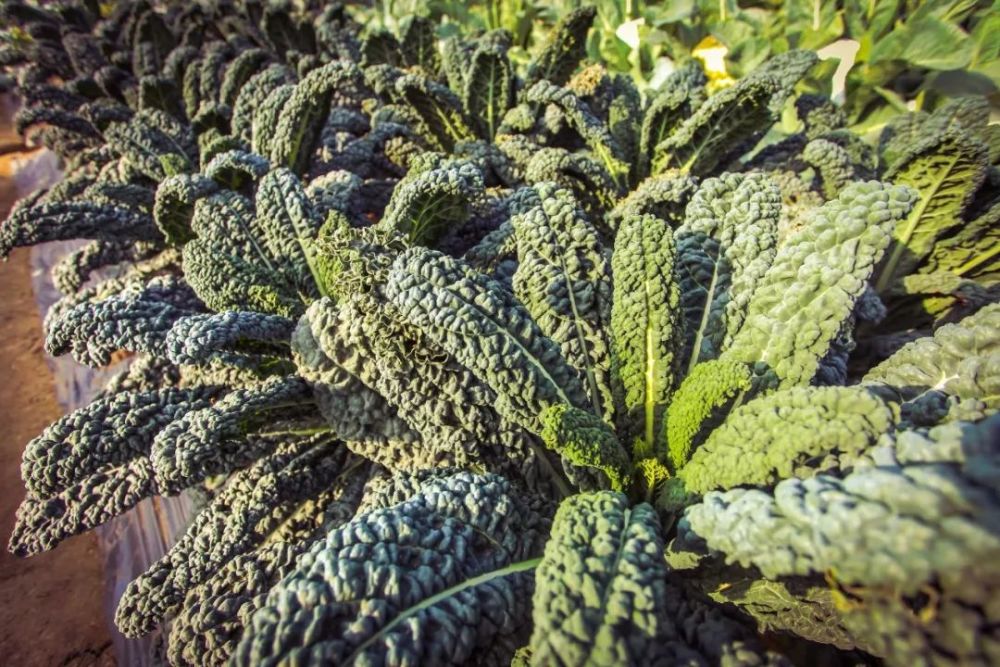 广东|投票啦！广东省十佳科普教育基地评选活动启动，你心水的是哪个？