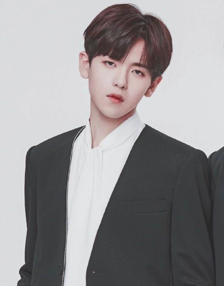 王思聪弟弟参加偶像练习生,王喆施展何昶希谁