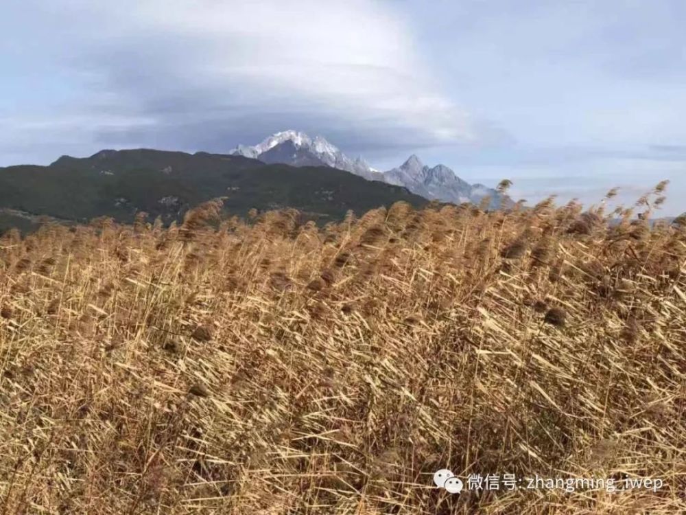 张明:改革开放四十年中国国际收支演变历程、