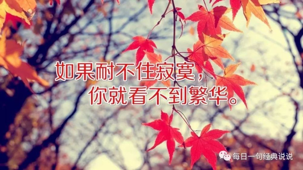 心情不好看花的朋友圈(心情不好看到花心情就好了的朋友圈)