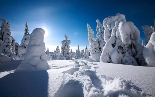 2002年的第一場雪 比以往時候來的更晚一些