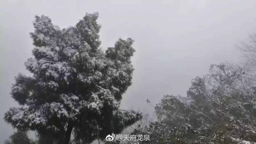 成都下雪了?这些地方真的下雪了!