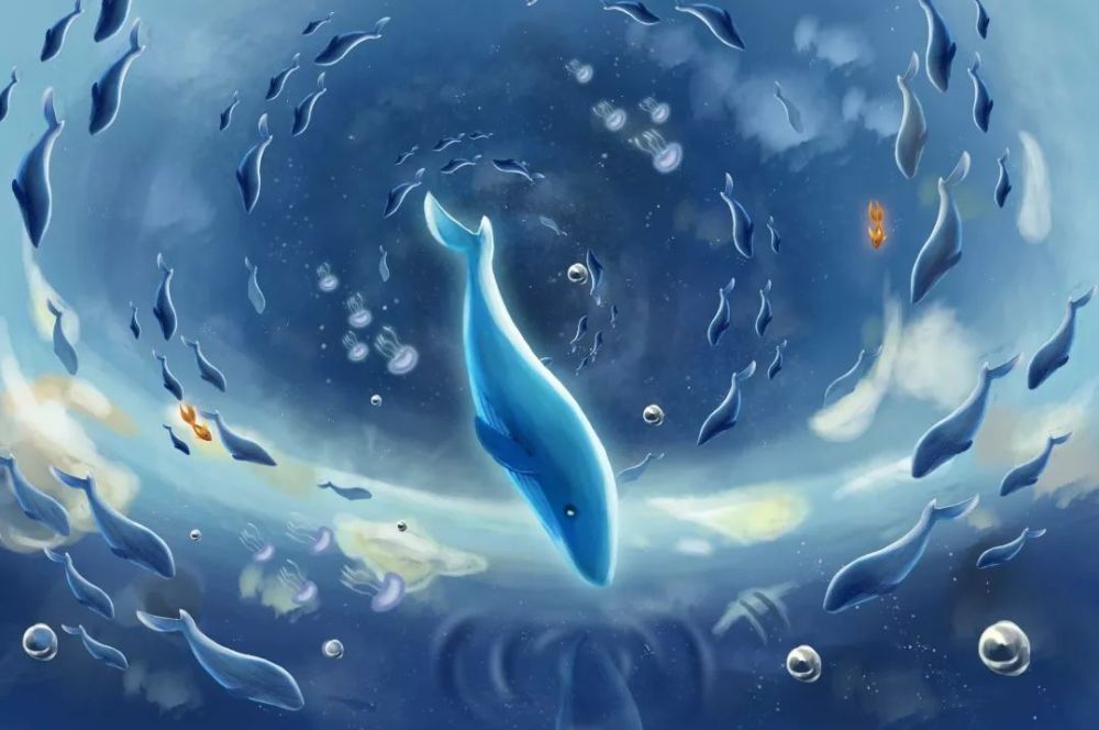 盛文强 获鱼之夜 星星照亮的那些记忆