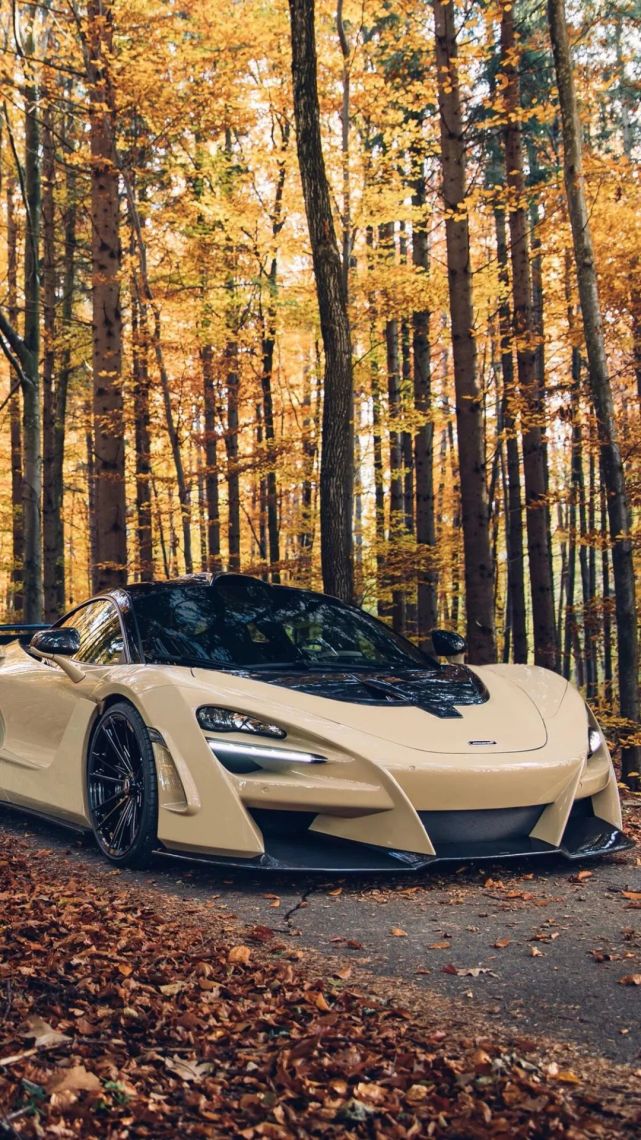 见过爆改超跑嘛