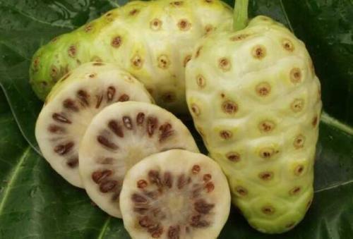 要说世界上最臭的水果,大家想到的肯定是耳熟能详的榴莲吧,其实