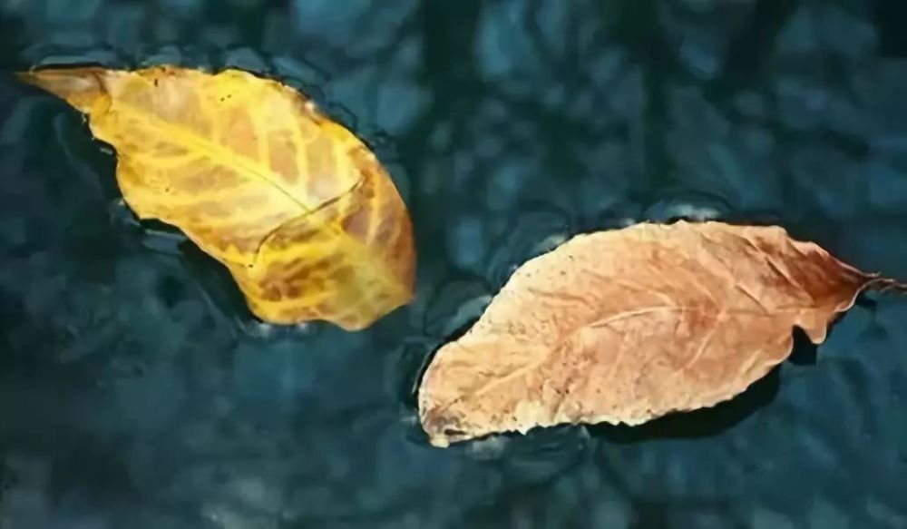 假如您在寺院或道场遇到前世爱人