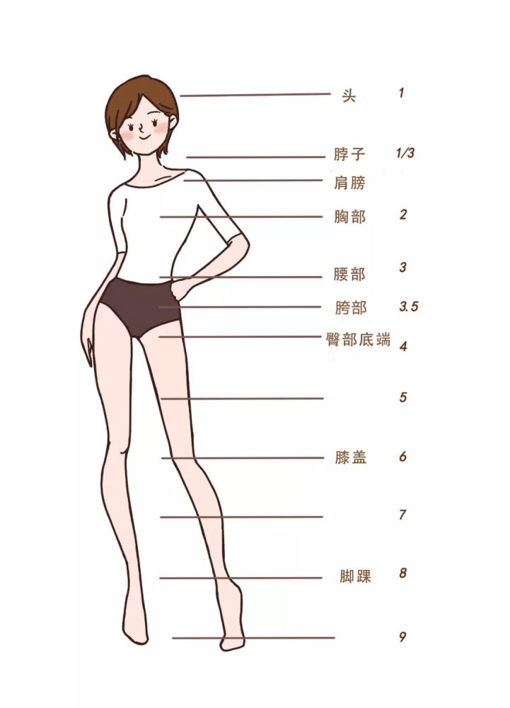 我们都知道,9头身的身材比例最完美,在9头身的比例中,脖子的测量位置