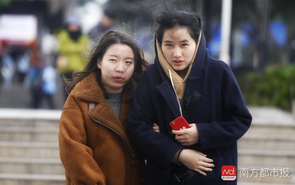 降温加起风 图by 谭庆驹