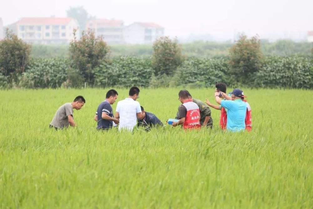 考研过来人血泪控诉,这3个专业考上找工作也难