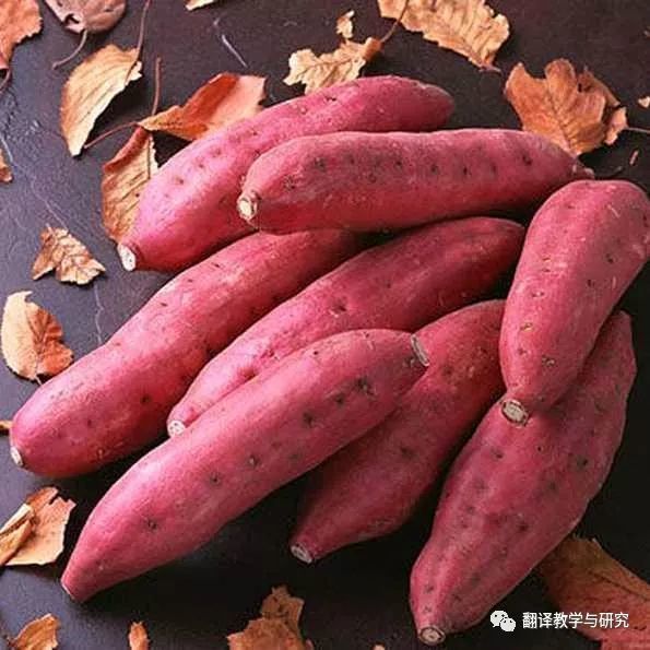 玉米、小蔥、菠菜、四季豆：那些從國外傳入古代中國的瓜果蔬菜們 時尚 第9張