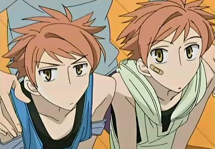 《樱兰高校男公关部》常陆院光和常陆院馨以6%的支持率排在第二位,比