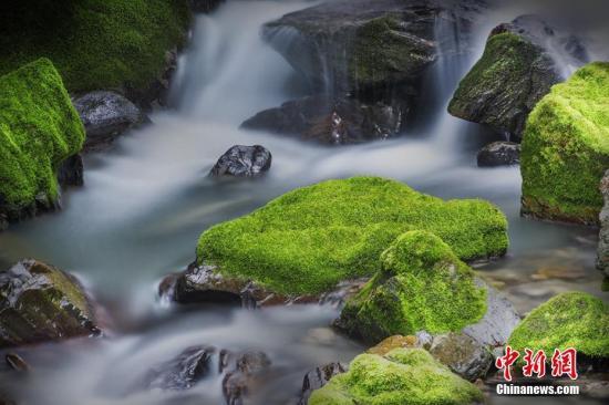 神农架国家公园|国家公园体制试点评估验收在即 钱江源神农架国家公园交出怎样的“答卷”？